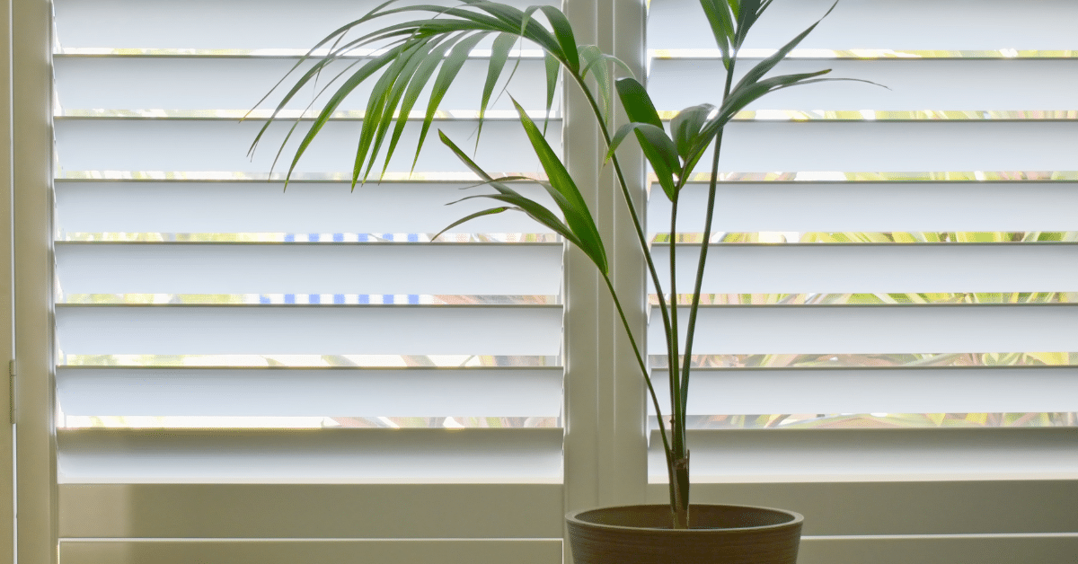 a beautifully lit room with large windows adorned by elegant plantation shutters