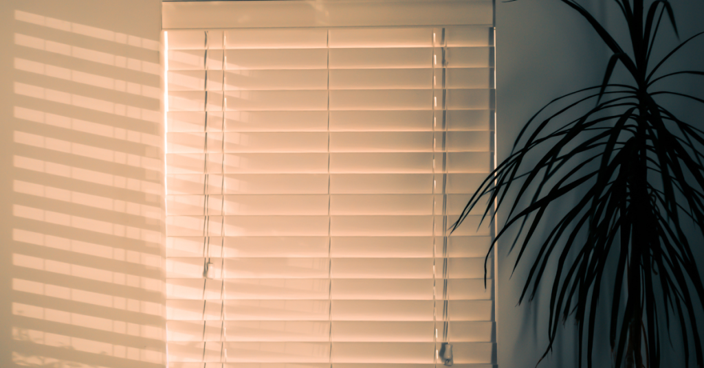 Why Should I Choose Window Blinds for My Home?