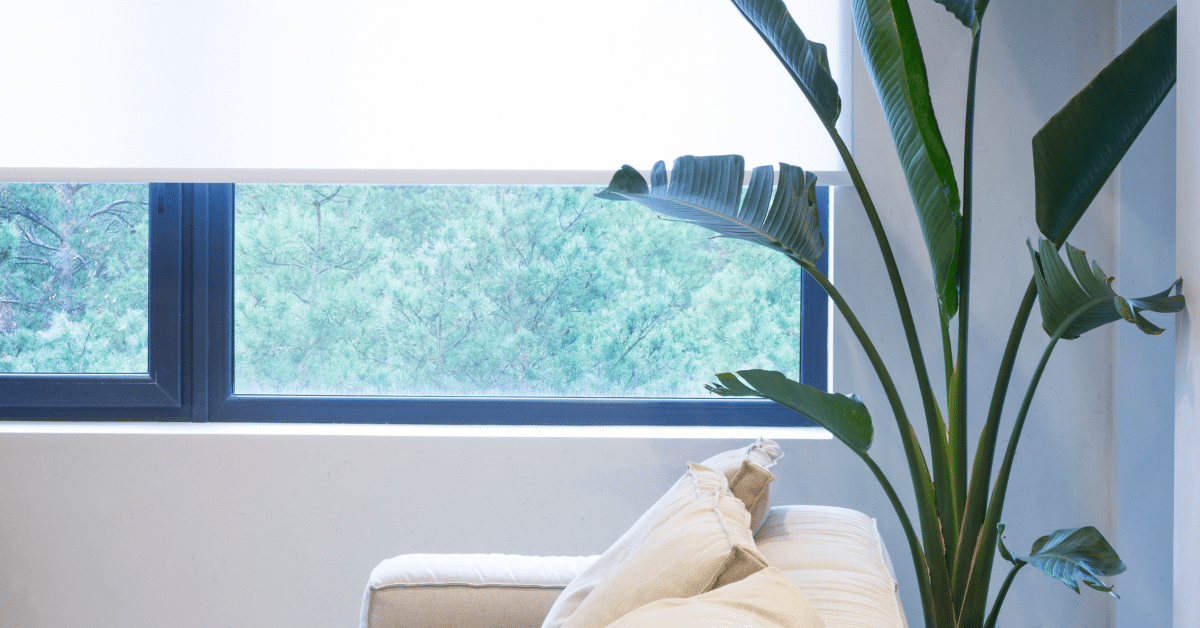 Are Motorised Blinds Worth the Investment?